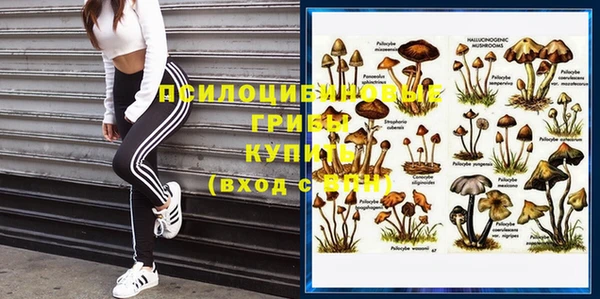 mix Арсеньев