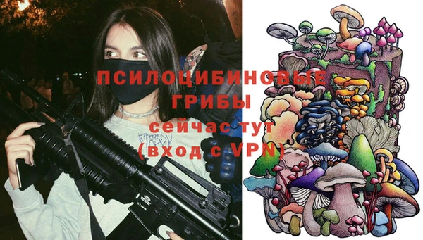 mix Арсеньев