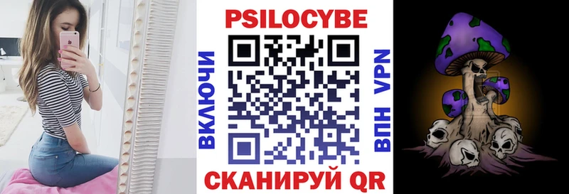 Псилоцибиновые грибы мицелий  где купить наркоту  Новошахтинск 