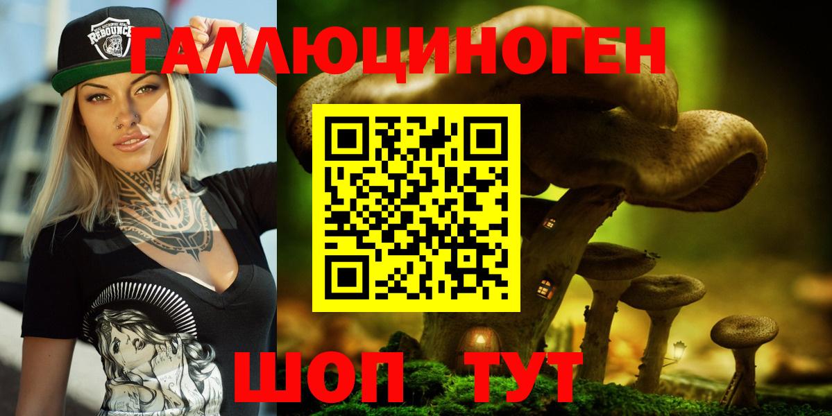Новошахтинск  как найти закладки  Вход с VPN  Галлюциногенные грибы Cubensis 