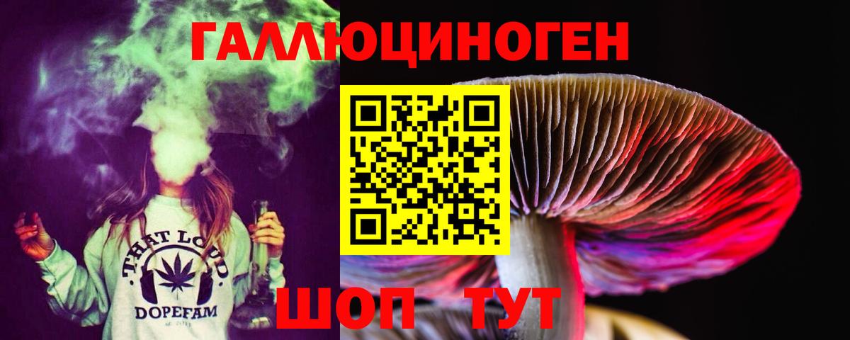 Галлюциногенные грибы Cubensis Новошахтинск